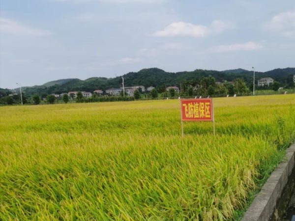 AG欧洲厅